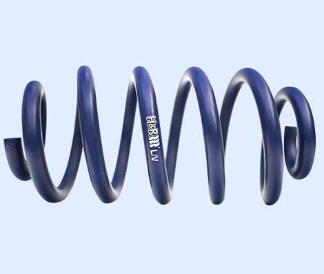 Product Springs H&R